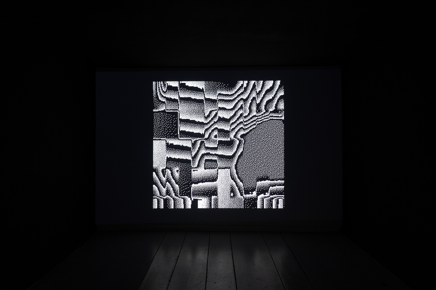 Installation view